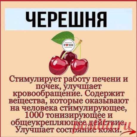 ПОЛЕЗНЫЕ СВОЙСТВА ПРОДУКТОВ 🔝 ⠀ Возможно многое из описанного вы... | Интересный контент в группе Кулинарные Секреты