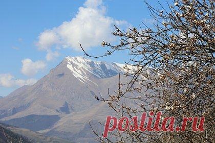 В горах Ингушетии обнаружили древние коллективные усыпальницы. Древние коллективные усыпальницы нашли в горном районе Ингушетии. Об этом рассказали в пресс-службе Джейрахско-Ассинского музея-заповедника. Специалисты обнаружили находки в северо-восточной части архитектурного комплекса «Тумги», расположенного в 50 метрах южнее храма Тумгой-Ерды.