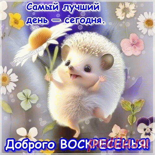 Воскресенье — день чудесный,
Он для отдыха полезен.