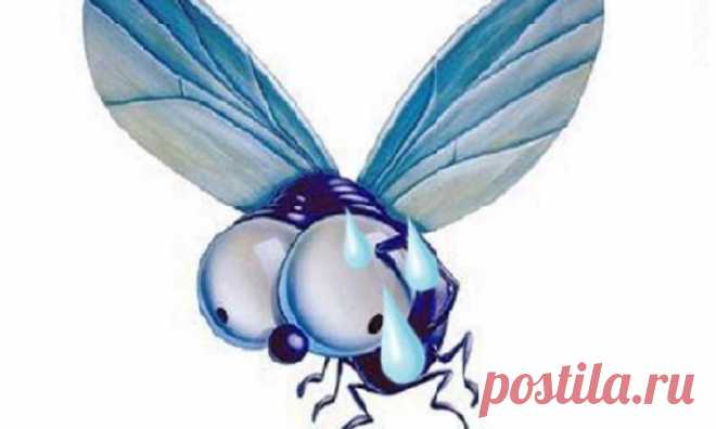 Мухи испытывают страх, также как люди
Британские ученые могут быть очень жестокими... Куда смотрят Зеленые? Запугать муху газетой до икоты - куда это годится?! 
#Муха  #страх #люди #новости #наука #эмоции