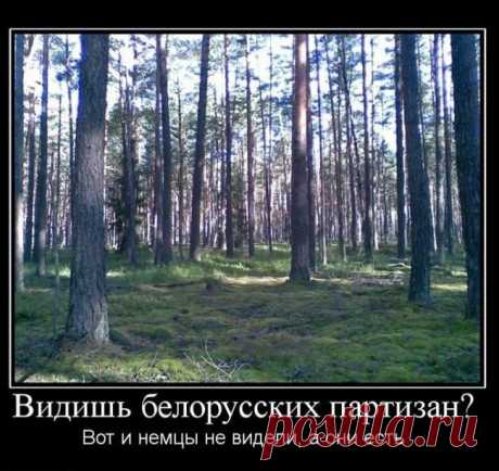 эвона