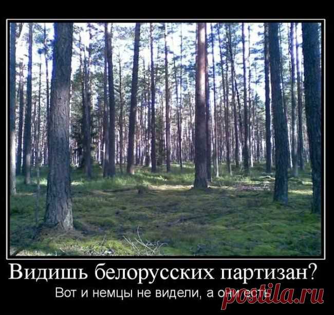 эвона