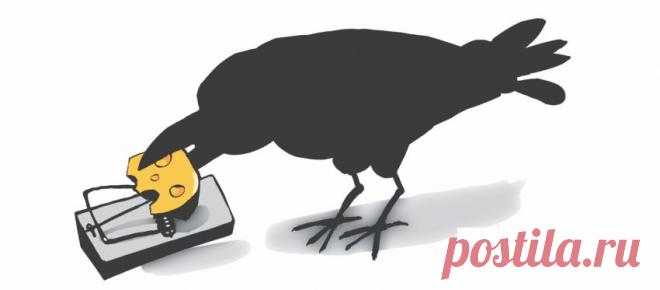 Пять историй с моралью | ТАЙНЫ ВСЕЛЕННОЙ