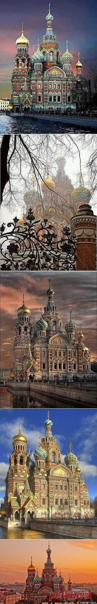 (9) Одноклассники