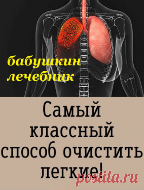 Бабушкин Лечебник | OK.RU
Ставим класс и добавляйте к себе,чтобы не потерять
Вот что вам понадобится:
— 1 небольшой кусочек корня имбиря;
— 2 чайные ложки куркумы;
— 1 литр воды;
— 400 г чеснока (очищенного, и порезанного на дольки);
— 400 г сахара (может быть обычным, но в идеале — коричневый).

Далее: