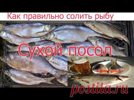 КАК ПРАВИЛЬНО И ВКУСНО СОЛИТЬ РЫБУ СУХИМ ПОСОЛОМ. ЛУЧШИЙ РЕЦЕПТ ВЯЛЕНОЙ ТАРАНИ В ДОМАШНИХ УСЛОВИЯХ!