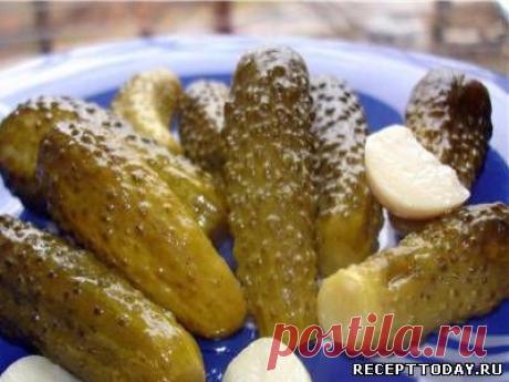 Рецепт: Соление в литровых банках