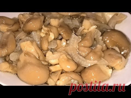 Вешенки маринованные быстрый способ! Маринованные грибы рецепт.