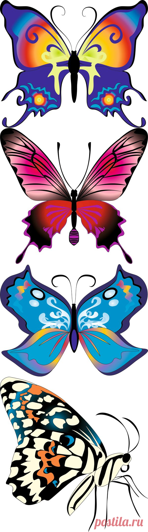 Бабочки (насекомые в векторе) часть третья | Butterflies (insects in the vector) part three :: NoNaMe