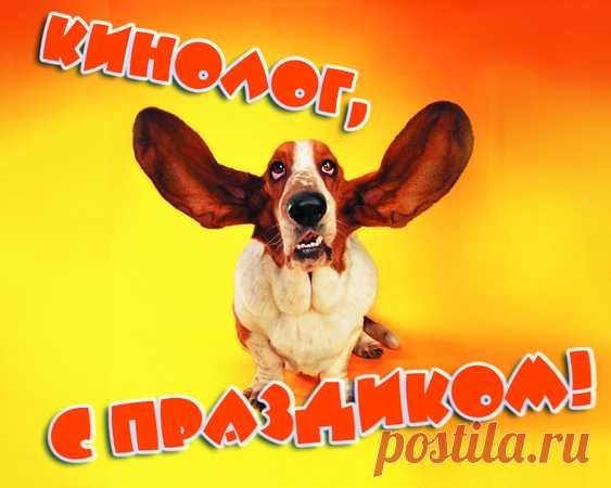 Желаю в сердце доброты,
Кинолог злобным быть не может,
И пусть сбываются мечты,
И жизнь успех к ногам положит!