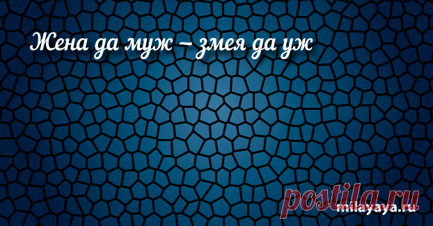Короткая пословица для женщин в картинках (картинка 58) . Милая Я