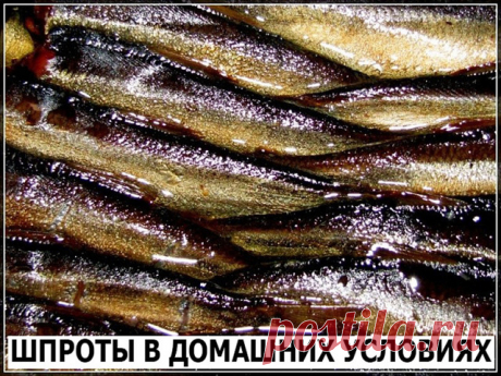 Скажу сразу, по вкусу получается ну ни капли не отличимо от магазинных шпрот. 1 кг рыбы (килька, мойва). Для заливки на 1 кг рыбы: 2 горсти луковой шелухи (она дает и цвет и подкопченый вкус. И заметьте, без всякого копчения, жидкого дыма и канцерогенов!), 1 столовая ложка соли, 1 чайная сахара, 1 стакан очень крепкой чайной заварки, неполный стакан растительного масла, 7 лавровых листьев, несколько горошин черного перца.
Рыбку необходимо почистить и промыть, убрать хвосто...