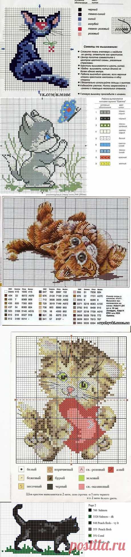 цитата Клуб_мастериц : Вышивка крестиком - схемы котов и котят (08:34 16-01-2014) [4432111/308102243] - kiyashko_1964@mail.ru - Почта Mail.Ru
