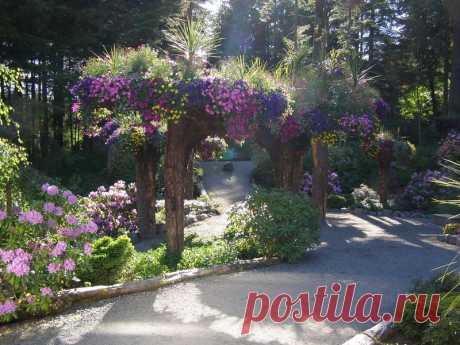 Ботанический сад Glacier Gardens, Juneau, Alaska