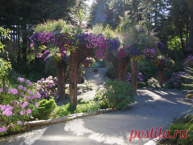 Ботанический сад Glacier Gardens, Juneau, Alaska