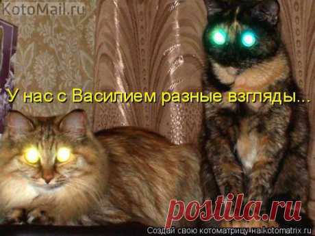 Разные взгляды. | KotoMail.ru