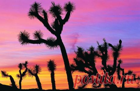 Фотографии пустыни и засухи