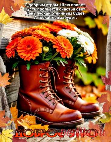 Доброе утро