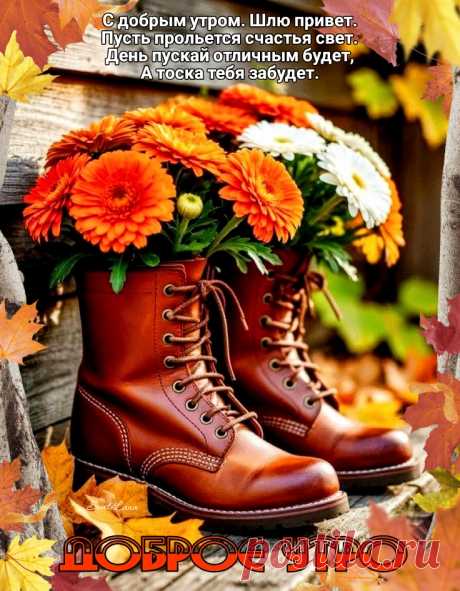 Доброе утро