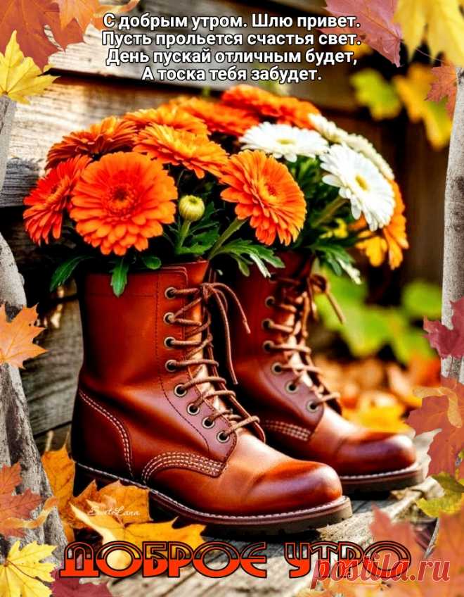 Доброе утро