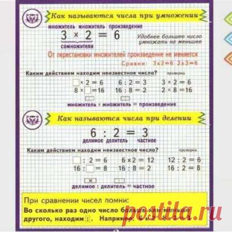 Учитель начальной школы