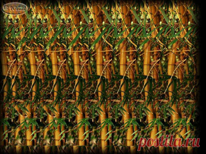 ВОССТАНОВИТЬ ЗОРКОЕ ЗРЕНИЕ С ЕВГЕНИЕМ СЛОГОДСКИМ