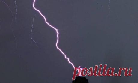 24 удачно пойманных кадра