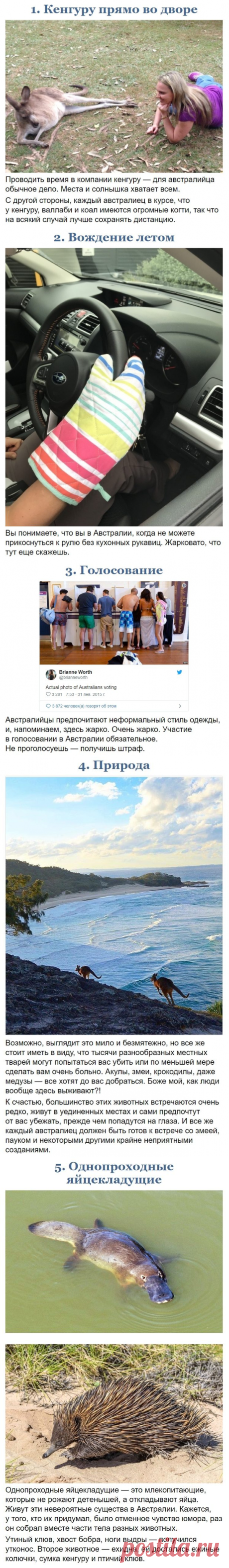 10 фото, доказывающих, что Австралия — это совершенно иной мир / Туристический спутник