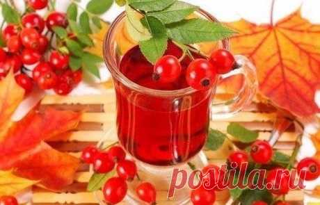 5 ВАРИАНТОВ ВКУСНЫХ И ПОЛЕЗНЫХ ЧАЙНЫХ НАПИТКОВ