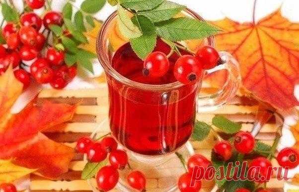 5 ВАРИАНТОВ ВКУСНЫХ И ПОЛЕЗНЫХ ЧАЙНЫХ НАПИТКОВ