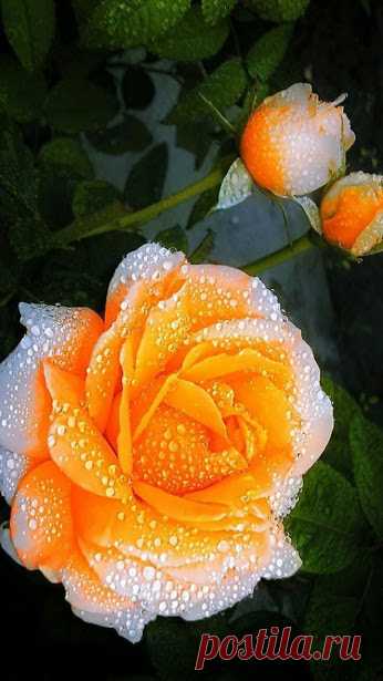 WELCOME — weza777: ❥❥
