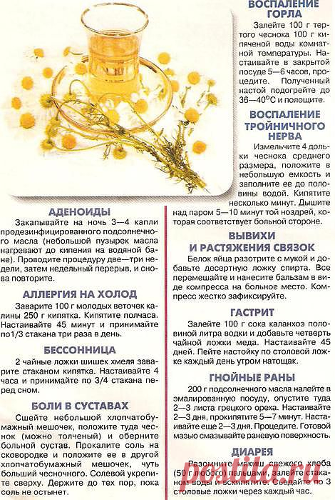 Забытые рецепты от а до я.