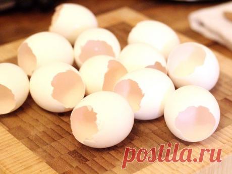 Ты перестанешь выбрасывать яичную скорлупу, узнав об этом! 

Яичная скорлупа на 90 % состоит из высококачественного кальция, а также из соединений фосфора, калия, железа, магния, кремния. Кальций, который мы потребляем вместе с яичной скорлупой, очень легко усваивается организмом — в разы лучше специальных препаратов! Полезные свойства скорлупы известны с древних пор, во многих знахарских рецептах присутствовал богатый кальцием порошок из яичных оболочек.
Показать полностью…