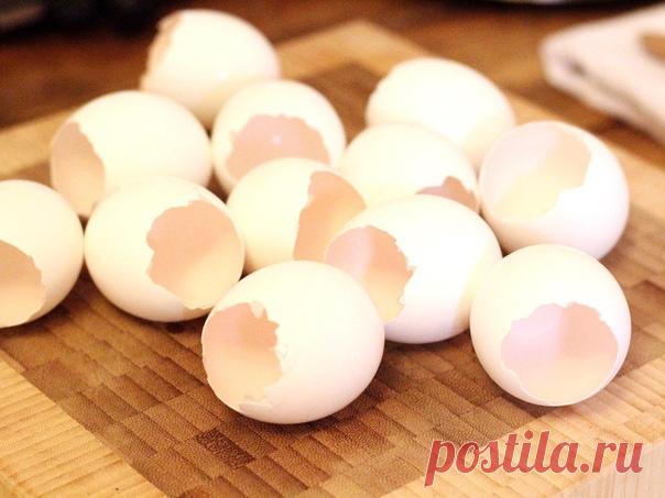 Ты перестанешь выбрасывать яичную скорлупу, узнав об этом! 

Яичная скорлупа на 90 % состоит из высококачественного кальция, а также из соединений фосфора, калия, железа, магния, кремния. Кальций, который мы потребляем вместе с яичной скорлупой, очень легко усваивается организмом — в разы лучше специальных препаратов! Полезные свойства скорлупы известны с древних пор, во многих знахарских рецептах присутствовал богатый кальцием порошок из яичных оболочек.
Показать полностью…