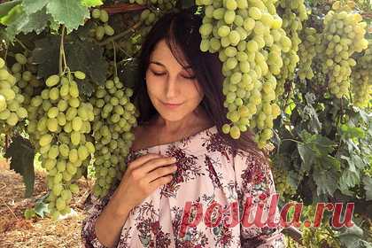 Переехавшая за границу россиянка рассказала об отношении иностранцев к работе. Россиянка, переехавшая в Армению, чтобы понять местных жителей, рассказала об отношении иностранцев к работе. По ее словам, очень трудно устроиться куда-то без личных и родственных связей — мало работодателей, которые принимают решение о выборе кандидата, основываясь на его профессиональных навыках.