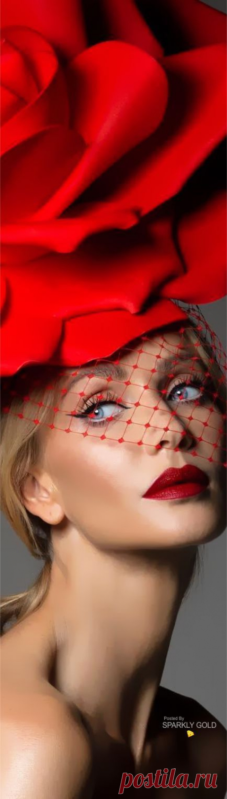 (6) Pinterest