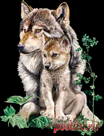 история про волков