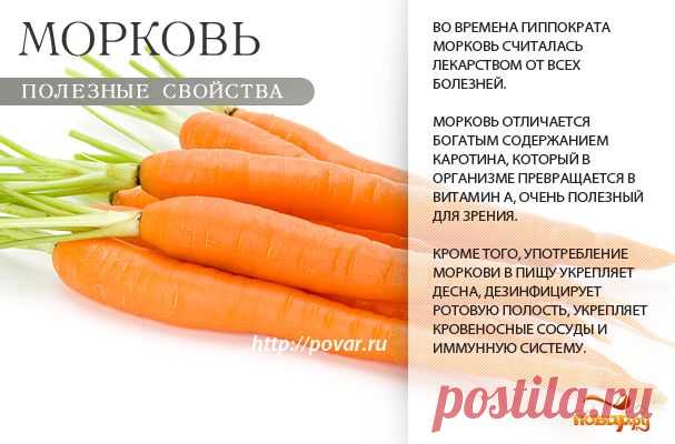 Морковь