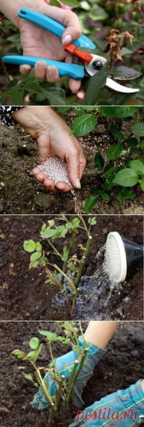 (7) Одноклассники