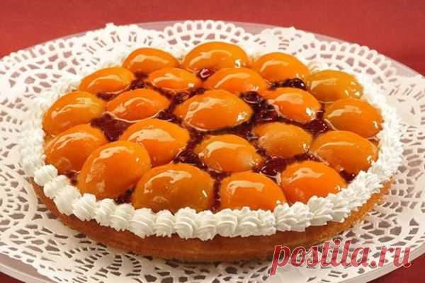 6 РЕЦЕПТОВ ВКУСНЫХ ПИРОГОВ С АБРИКОСАМИ