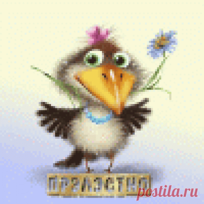 Когда мой гинеколог сообщает мне о кисте или миоме, я пью это и все мои проблемы исчезают за 4 дня!