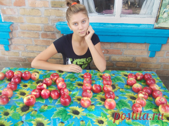 Вот такие яблоки у нас.