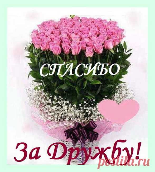 oe_250c0a0f272049a1a25165960fe7d63c.jpg (588×654)