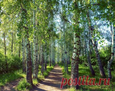 Мой Мир@Mail.Ru