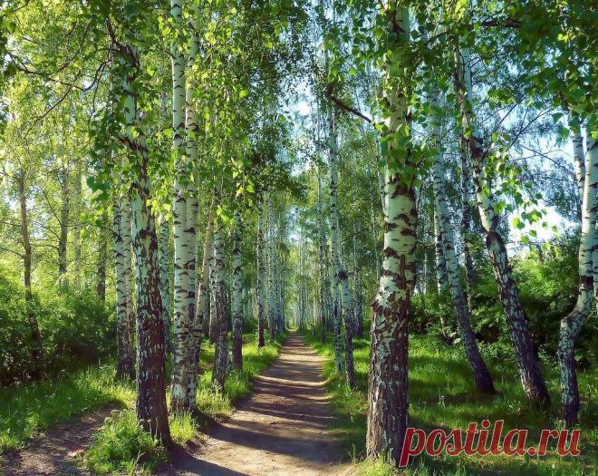 Мой Мир@Mail.Ru