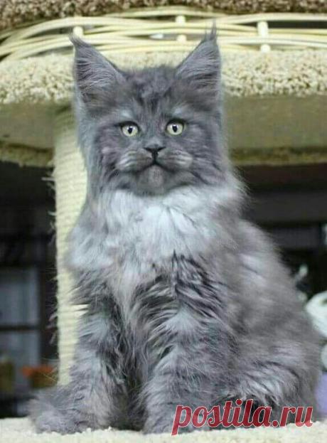 What?? Noooooooo.......