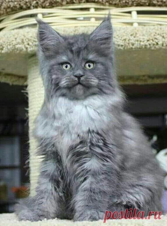 What?? Noooooooo.......