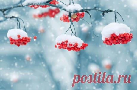 Christmas Photography Ideas - Stockvault.net Blog