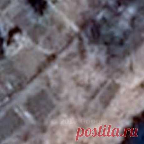Wikimapia — опишем весь мир!