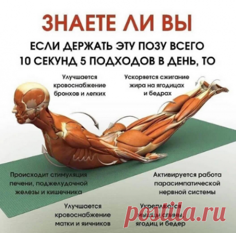 Новости
